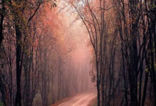 南美洲大联盟最新战绩曝光，球队成绩崭露头角引起热议