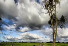 中路枢纽：汉川远大主场击败长沙金德，稳住积分榜位置