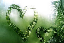 荷兰女篮备战世界杯，争取前进阶段突破