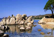 欧冠联赛开幕高水平球员备战精彩对决